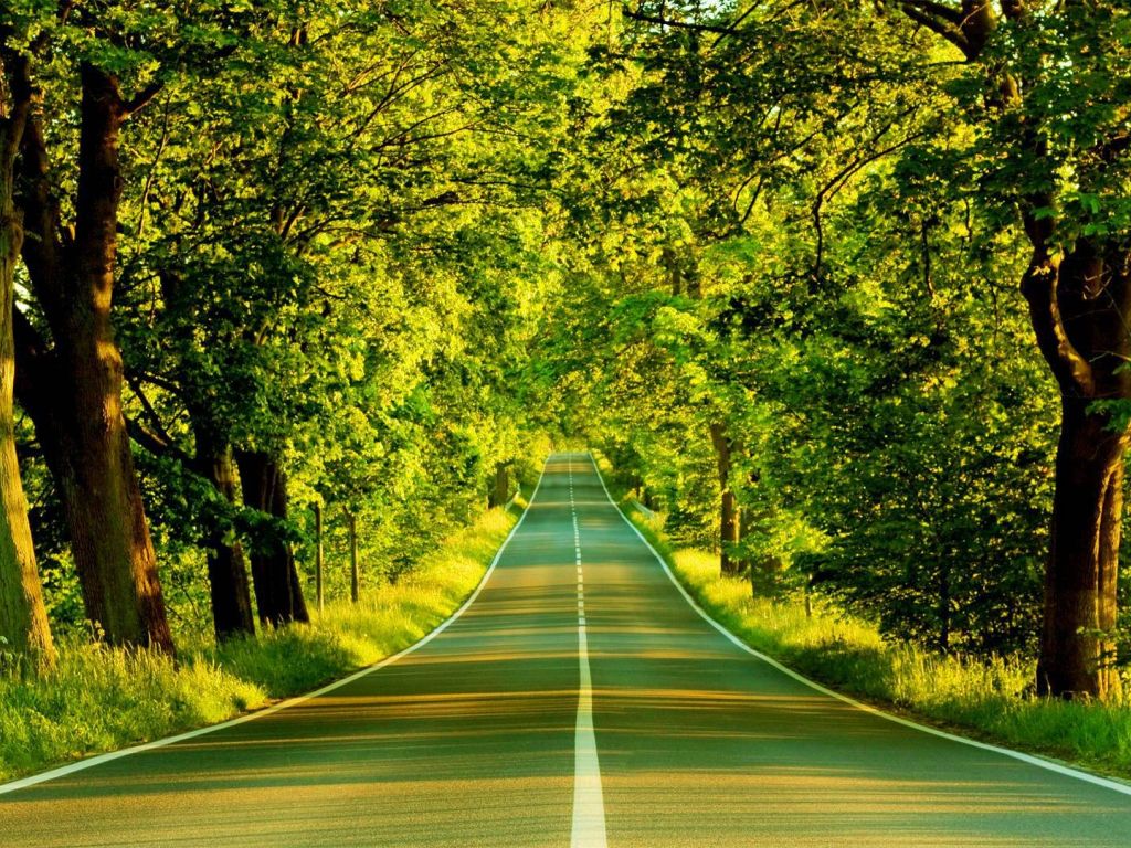 Awesome Green Road wallpaper