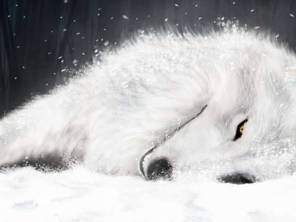 Awesome Wolf wallpaper