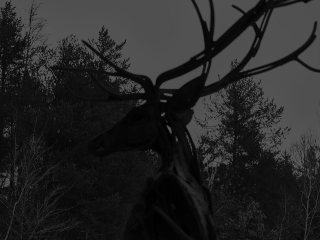 B and W Metal Stag wallpaper