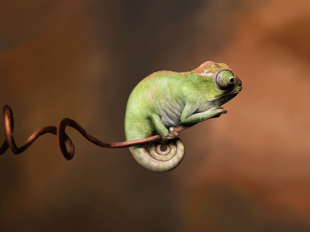 Baby Chameleon Perching On a Twisted Branch wallpaper