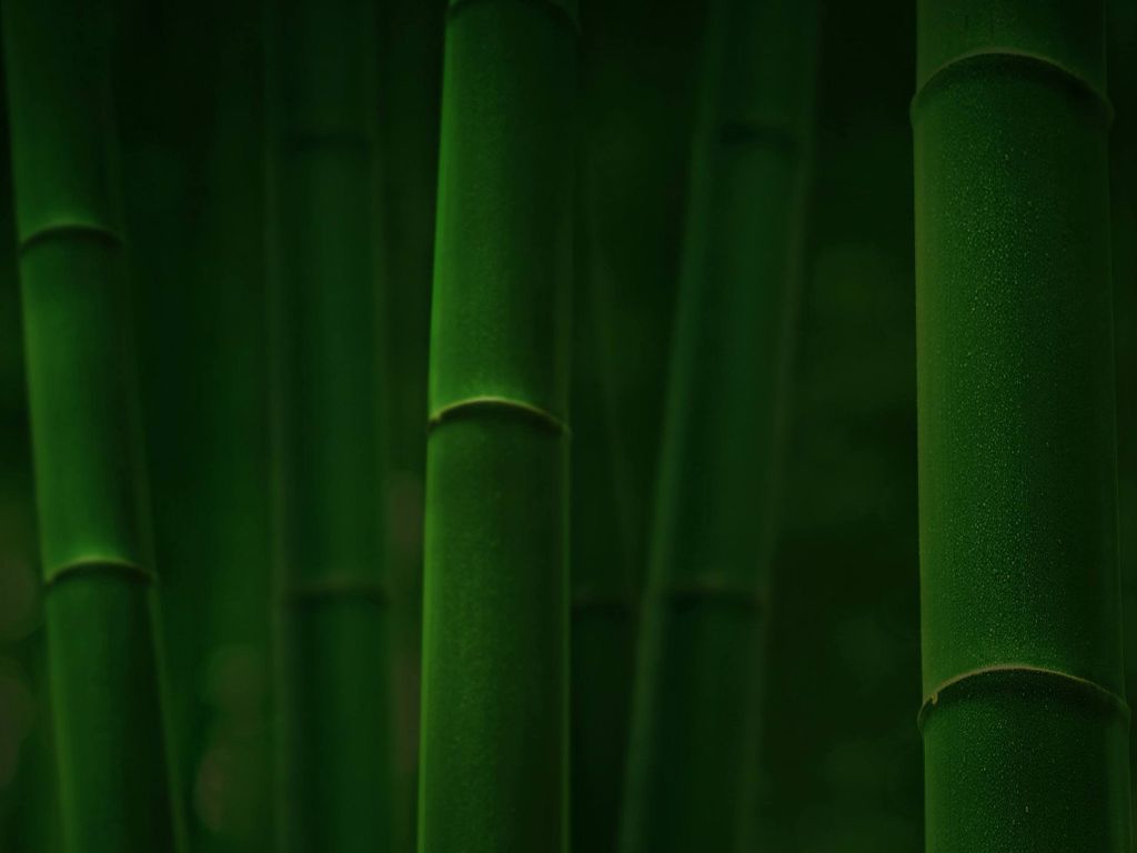Bamboo Pandamonium wallpaper