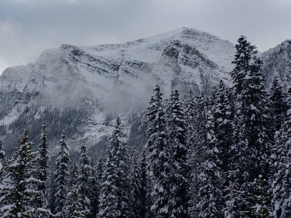 Banff National Park in the Winter wallpaper