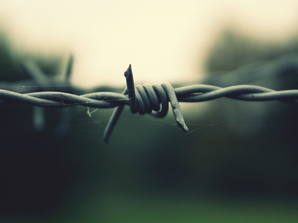 Barbed Wire wallpaper
