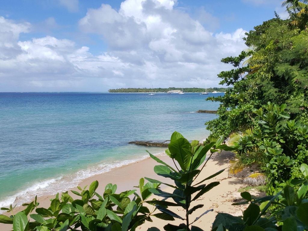 Beautiful Beach View From Sandy Pointe Hotel in Tobago wallpaper