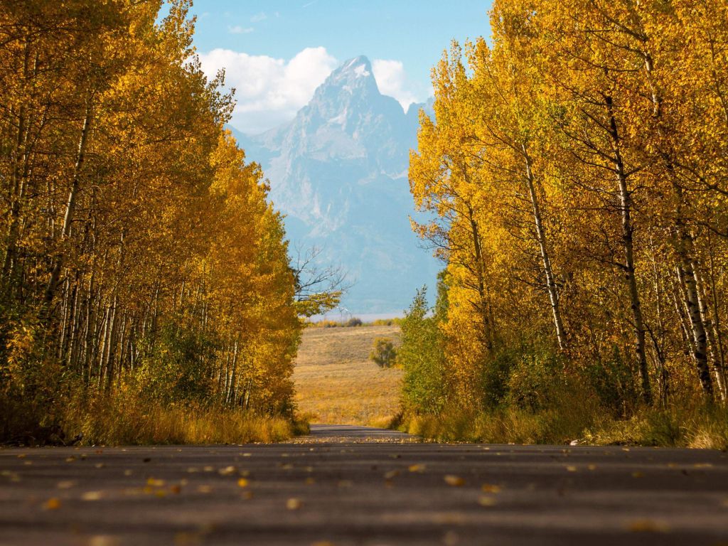 Beautiful Colors as the Seasons Change in Jackson Hole wallpaper