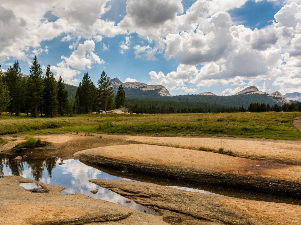 Beautiful Day in Toulumne Meadows Yosemite After a Summer Storm wallpaper