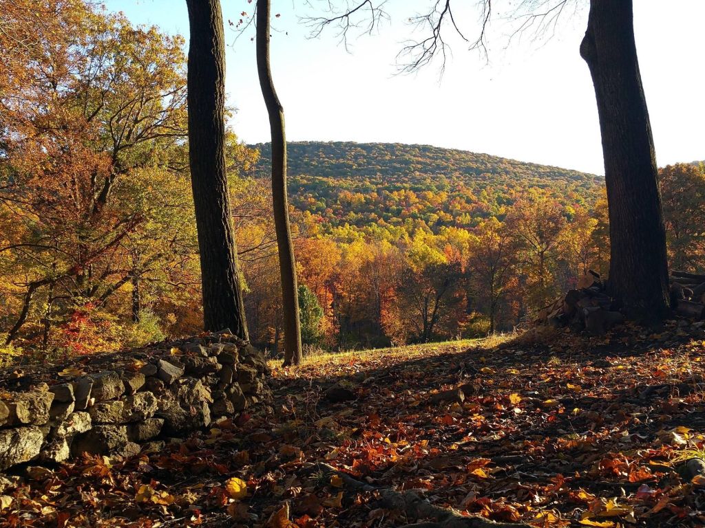 Beautiful Fall Foliage. Perry County Pennsylvania wallpaper