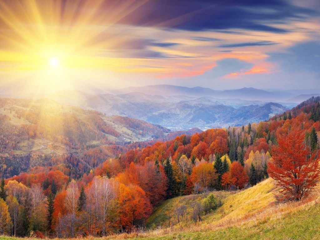 Beautiful Sceen of Tree and SunShine Autumn wallpaper
