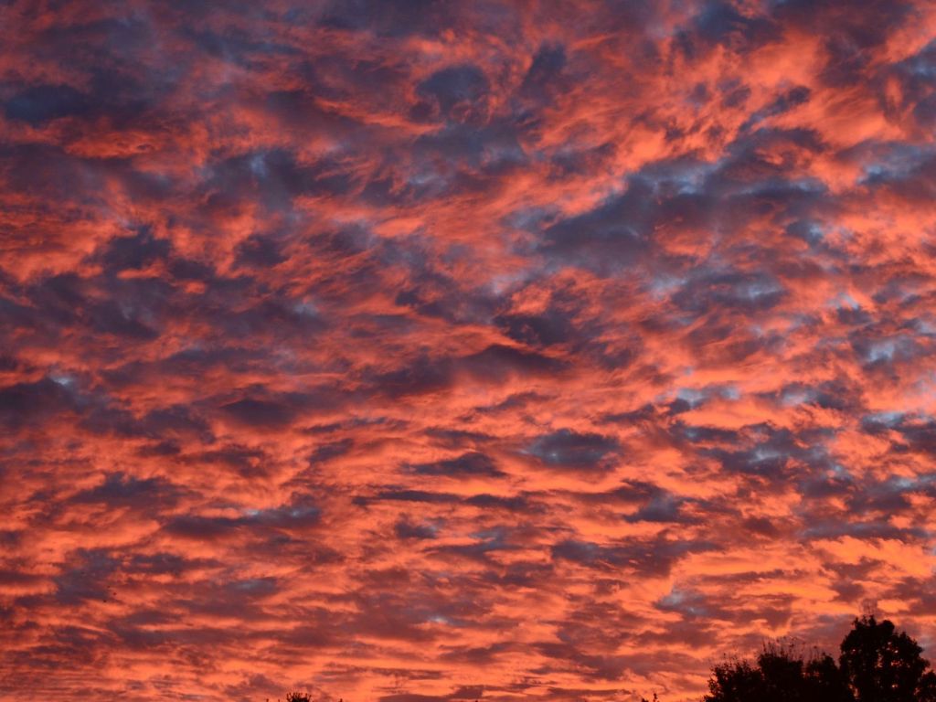Beautiful Sunrise Clouds in East Tennessee wallpaper