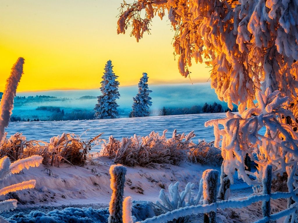 Beautiful Sunset Winters wallpaper