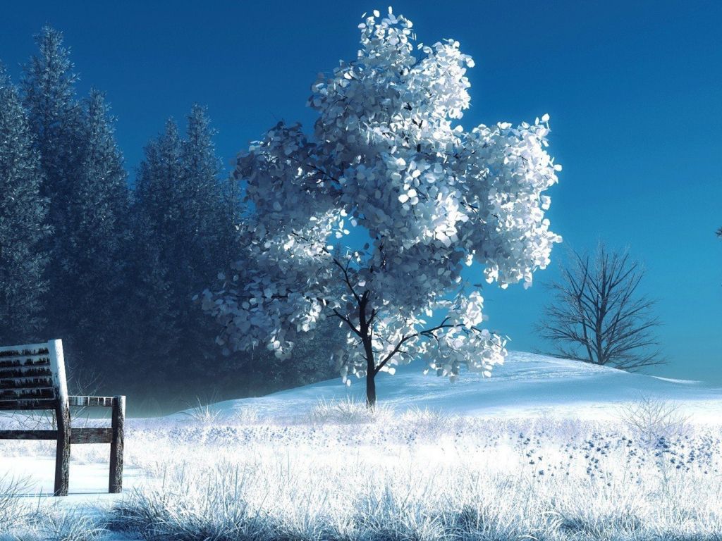Beautiful Winter Landscape wallpaper