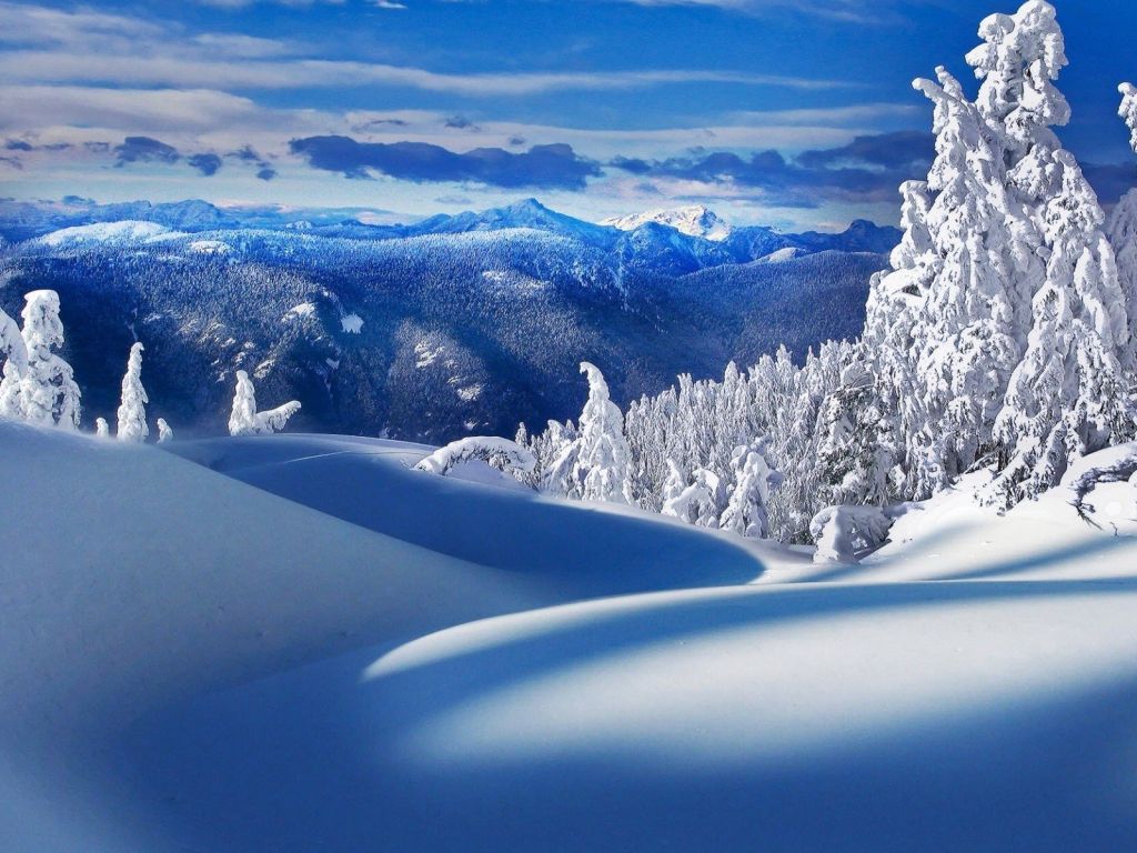 Beautiful Winter Scenery wallpaper