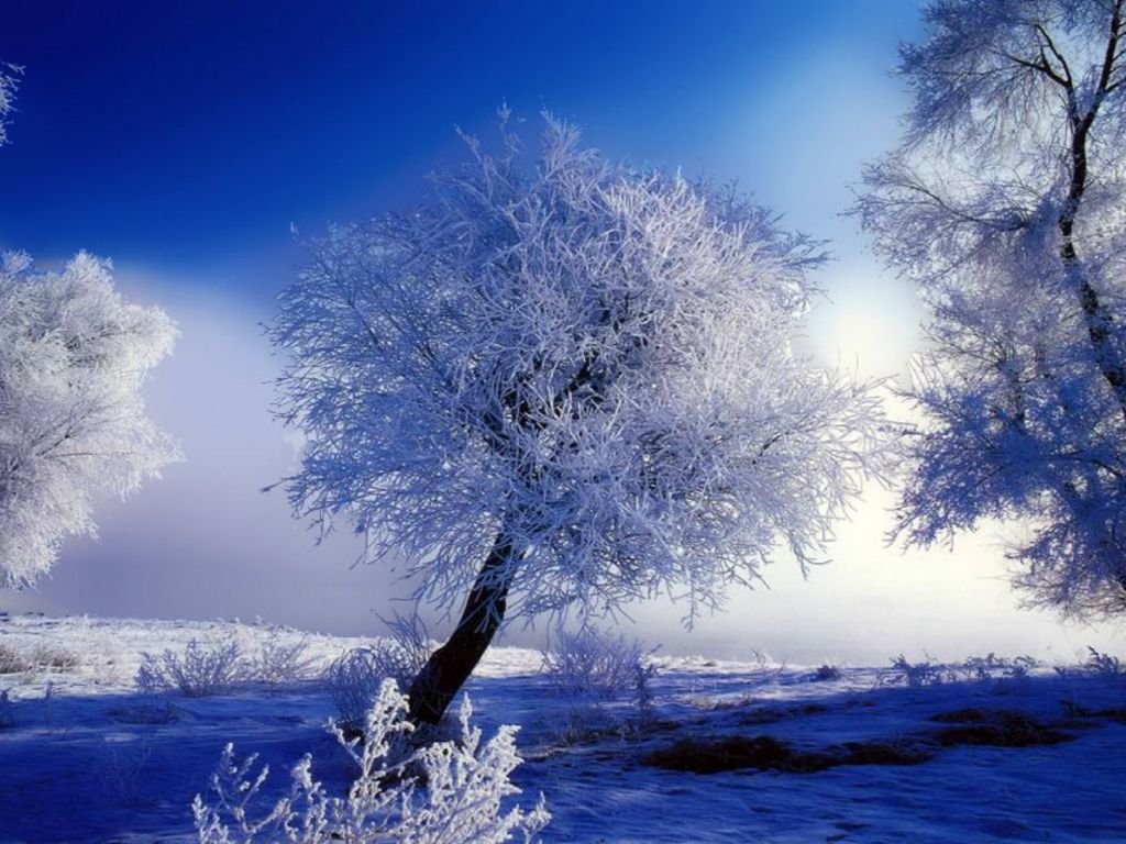 Beautiful Winter Snow HD wallpaper