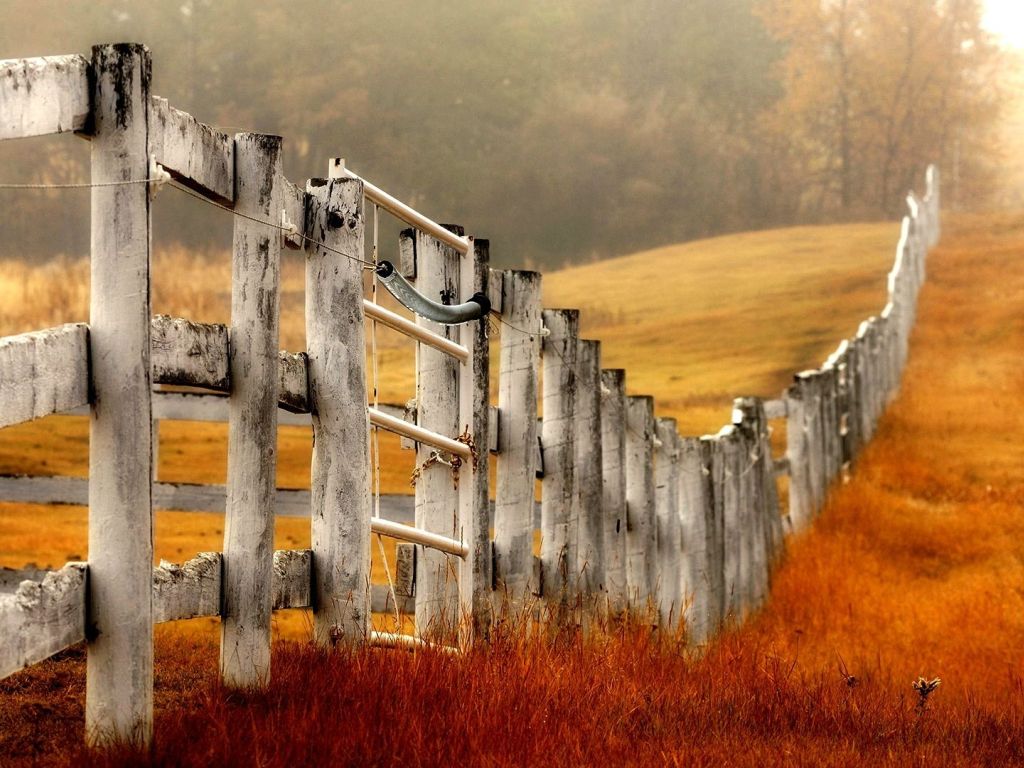 Beautiful Wooden Fence wallpaper