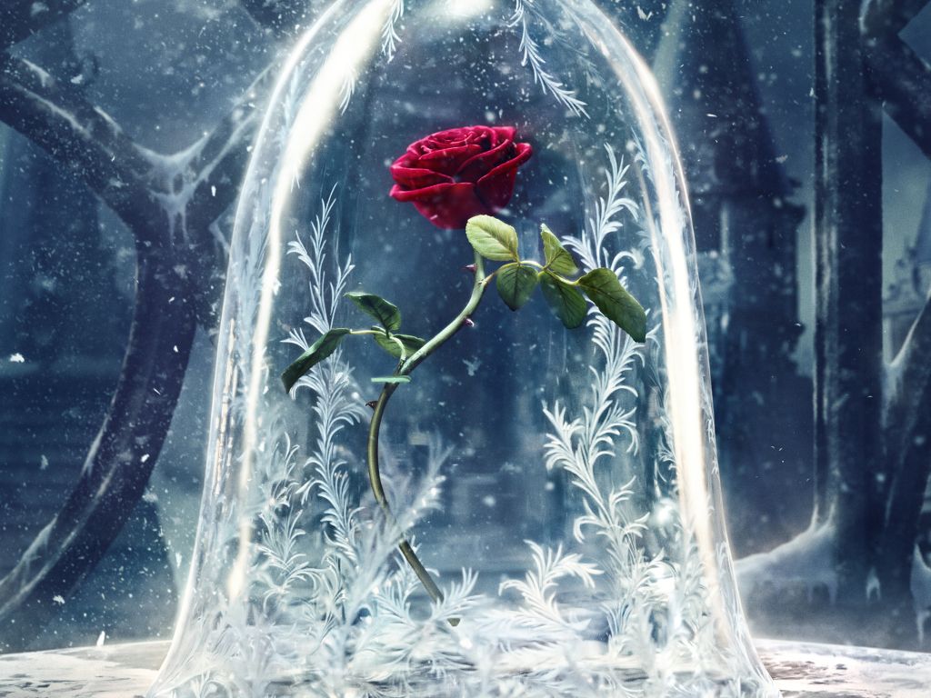 Beauty and the Beast 2017 wallpaper