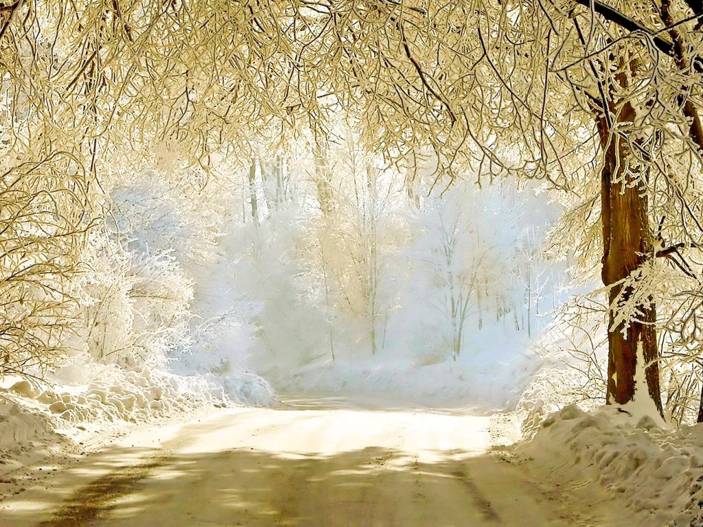 Beauty of Winter wallpaper