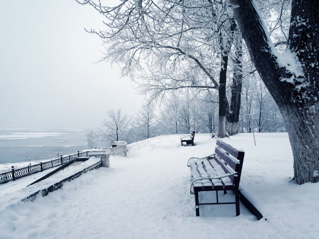 Bench Covered With Snow wallpaper