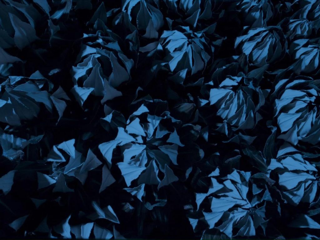 Black and Blue wallpaper