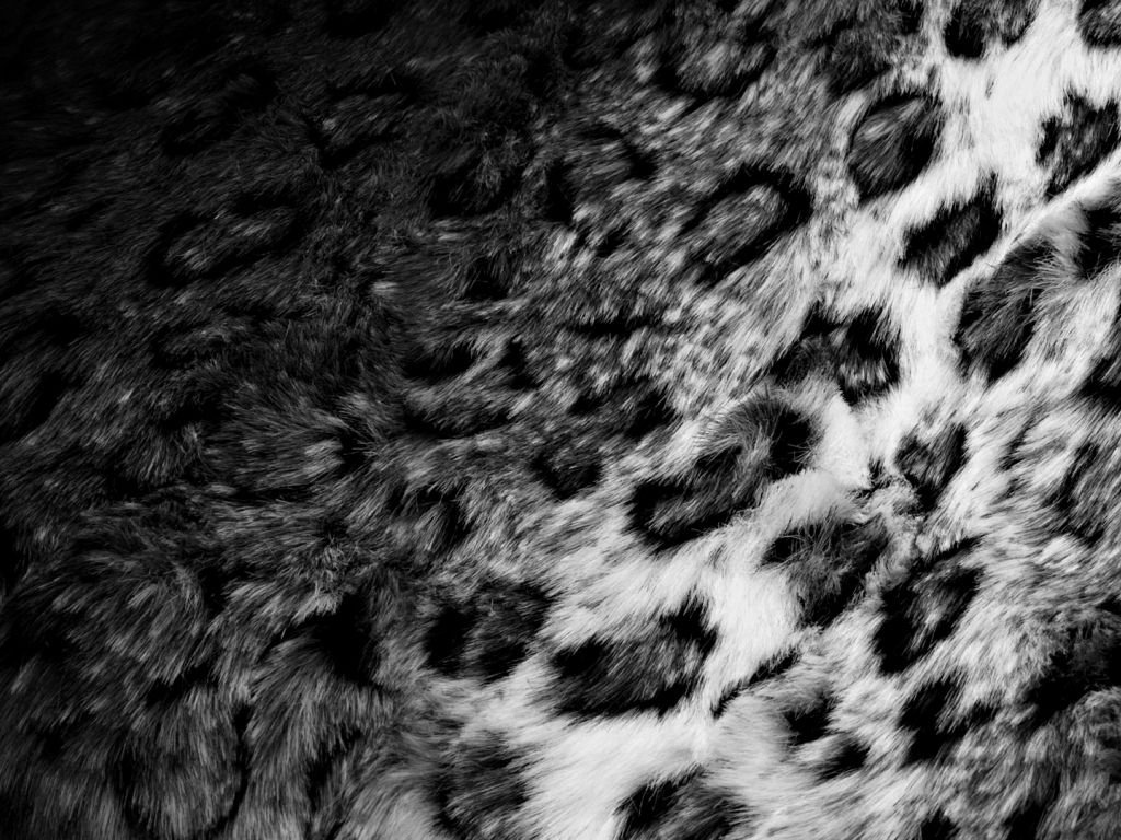 Black And White Leopard wallpaper