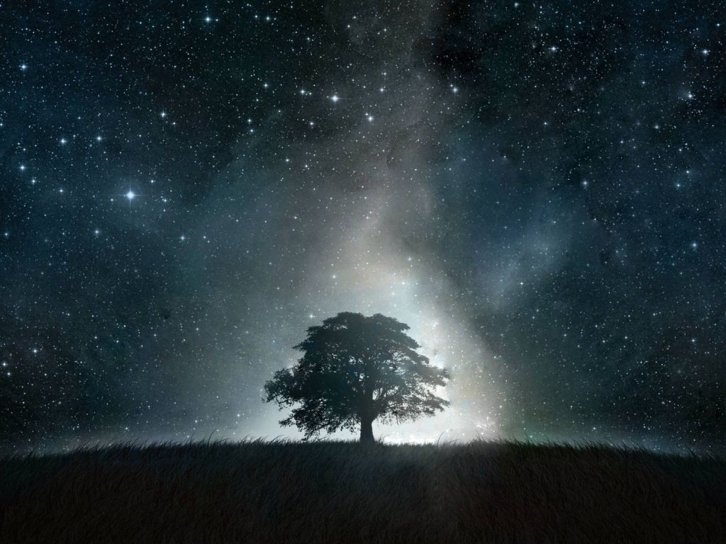 Black Tree Galaxy wallpaper