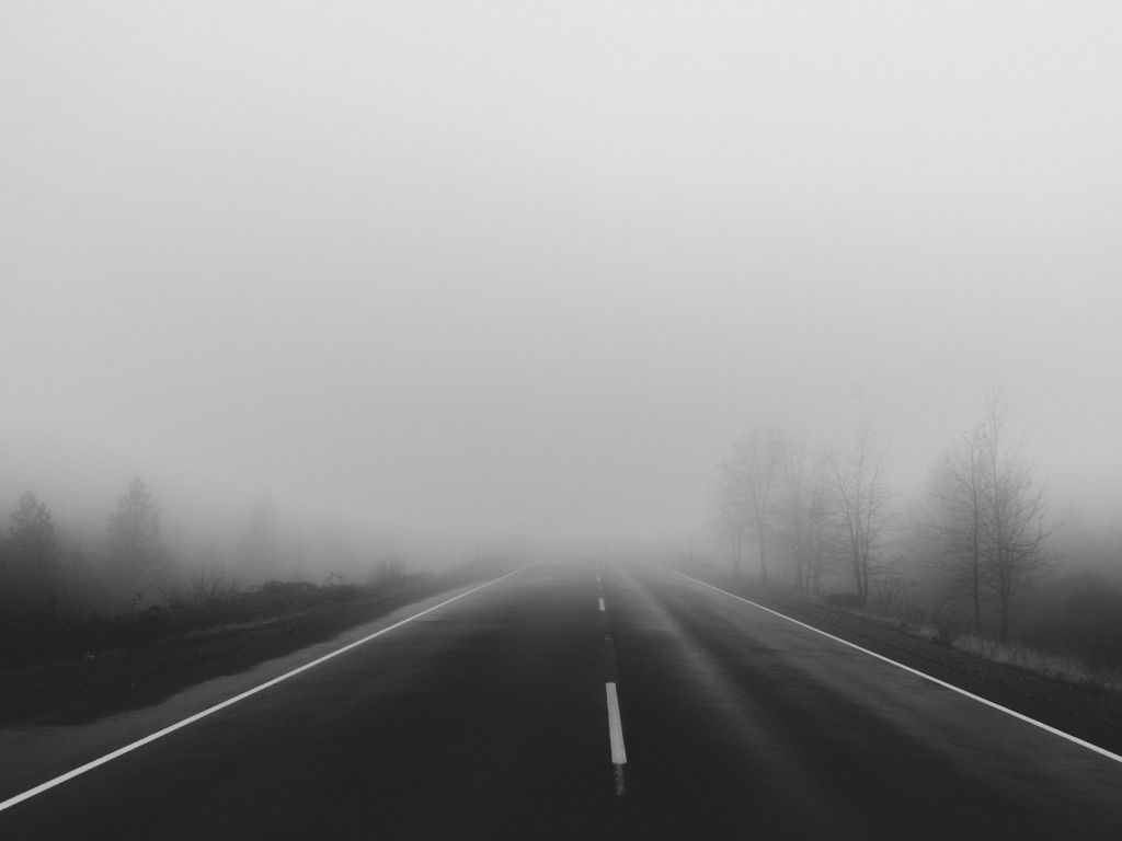 Black and white Fog Roads Trees wallpaper