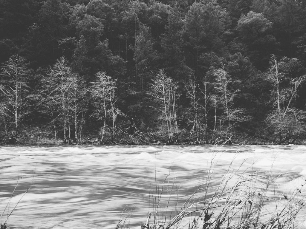 Black and white Gray Rapids Rivers Trees Water wallpaper