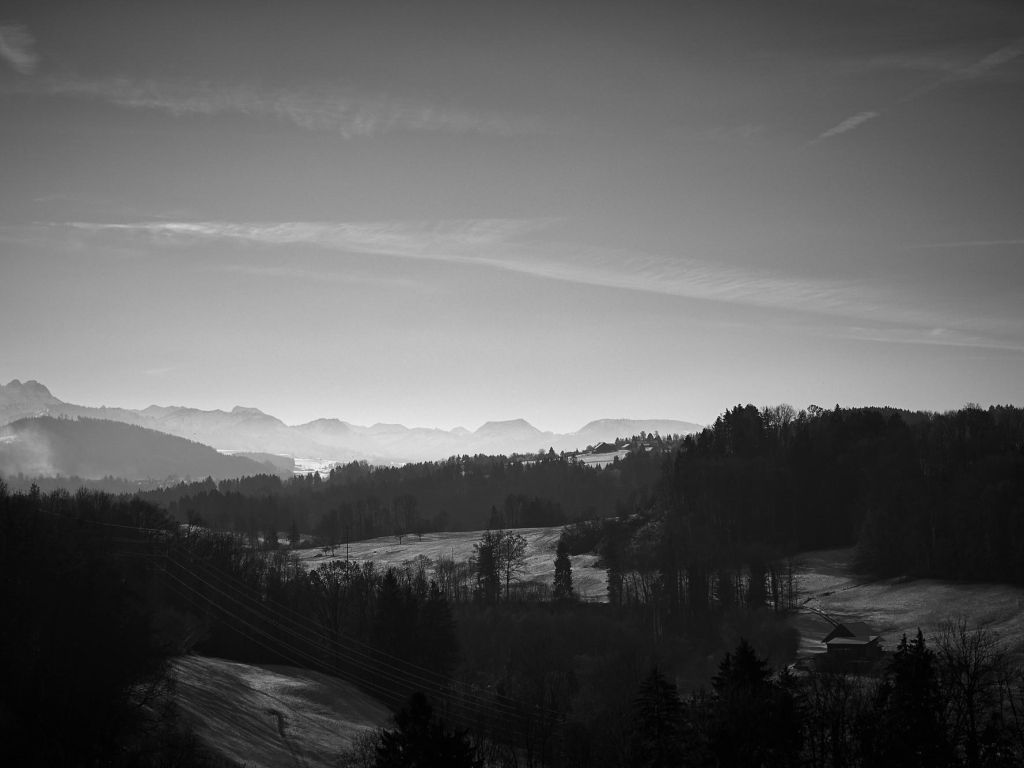 Black and white Landscapes Mountains Trees Winter wallpaper