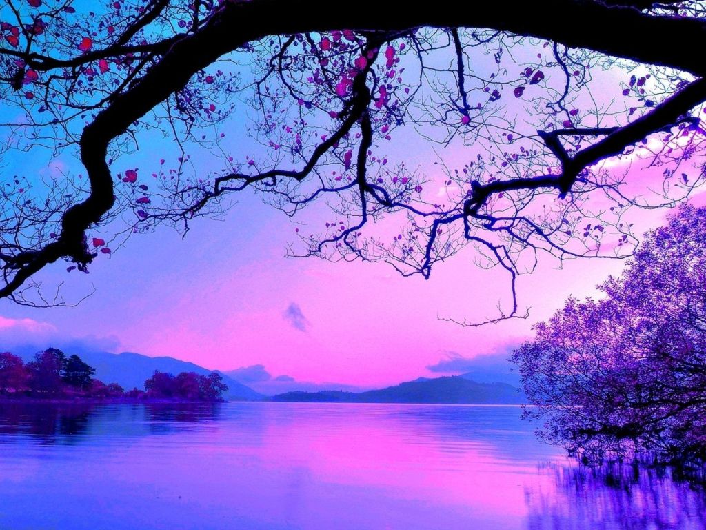 Blue and Purple Sunset wallpaper