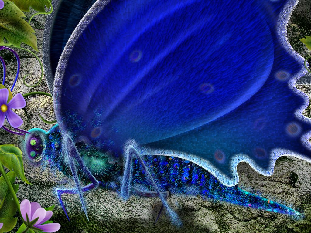 Blue Butterfly 9355 wallpaper