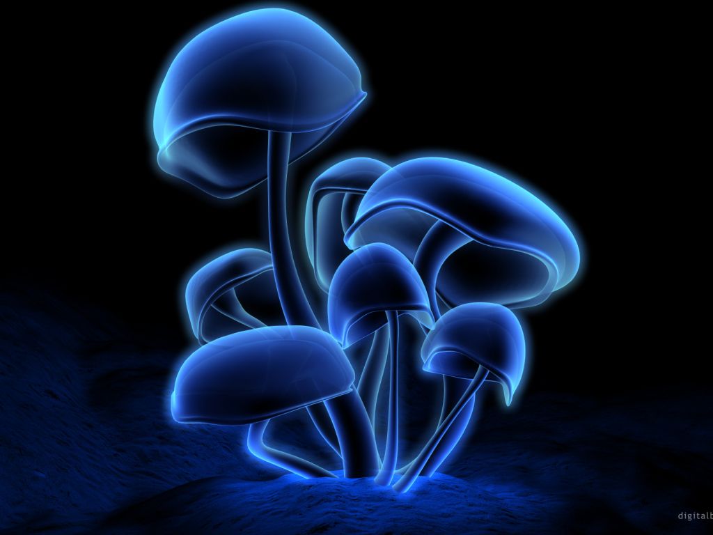 Blue Mushroom wallpaper
