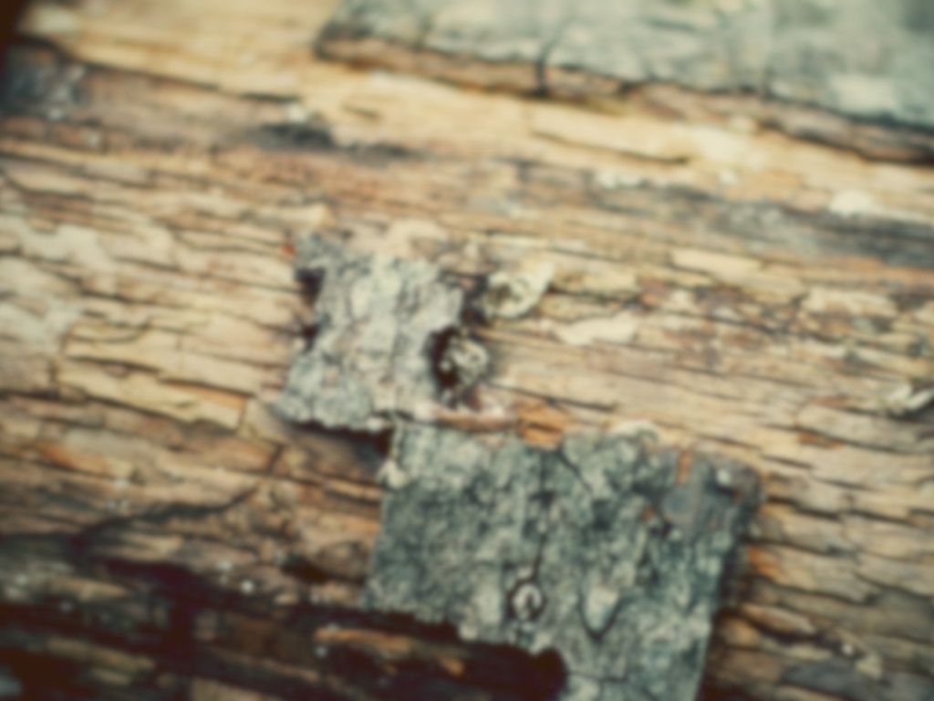 Blurry Piece of Wood wallpaper