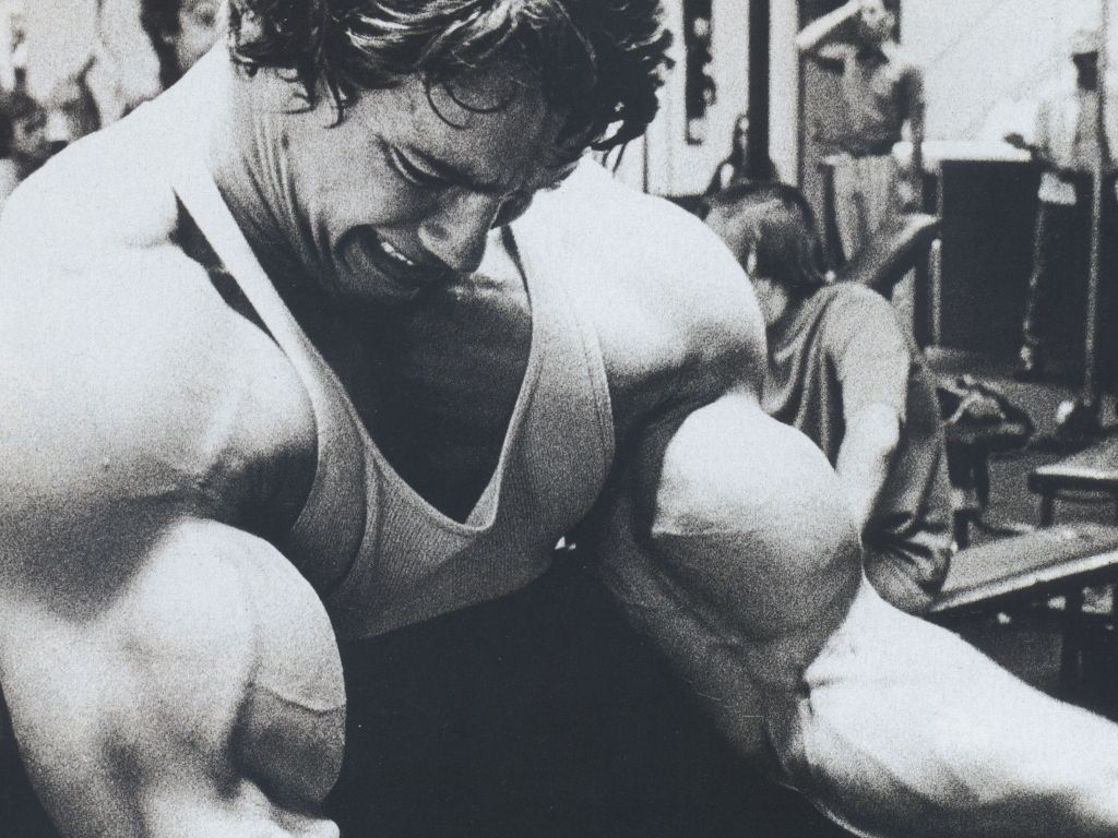 Bodybuilder Arnold Schwarzenegger wallpaper