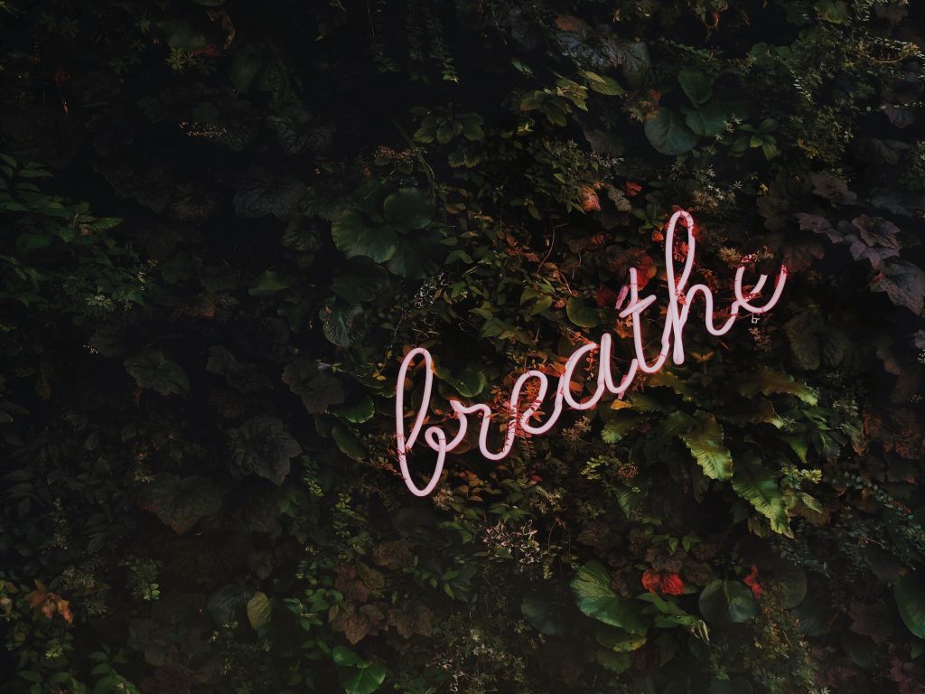 Breathe - Tim Goedhart wallpaper