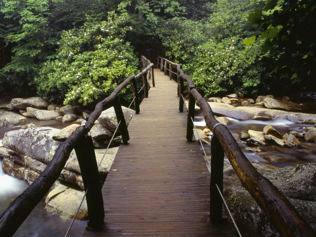 Bridge In The Great Smoky Mountains National Park wallpaper