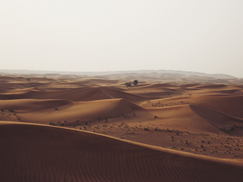 Brown Desert Dunes Sand White wallpaper