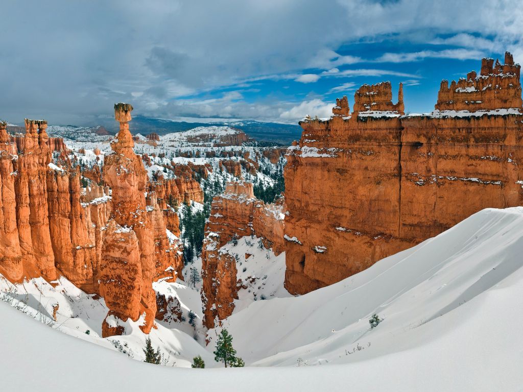 Bryce Canyon in Winter wallpaper