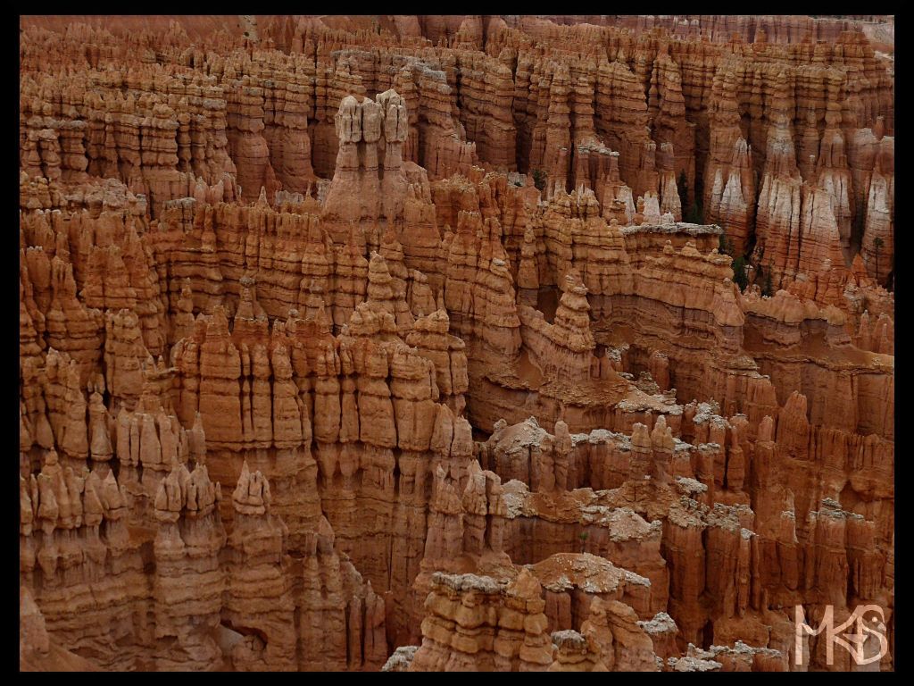 Bryce Canyon National Park - USA wallpaper