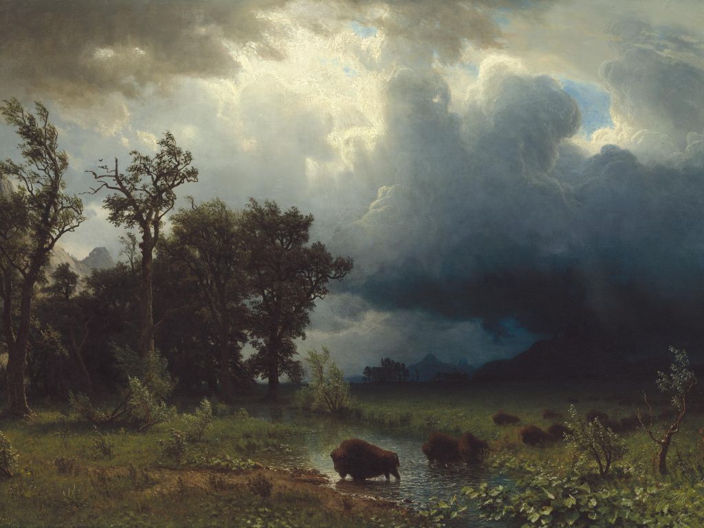 Buffalo Trail: The Impending Storm - Albert Bierstadt wallpaper
