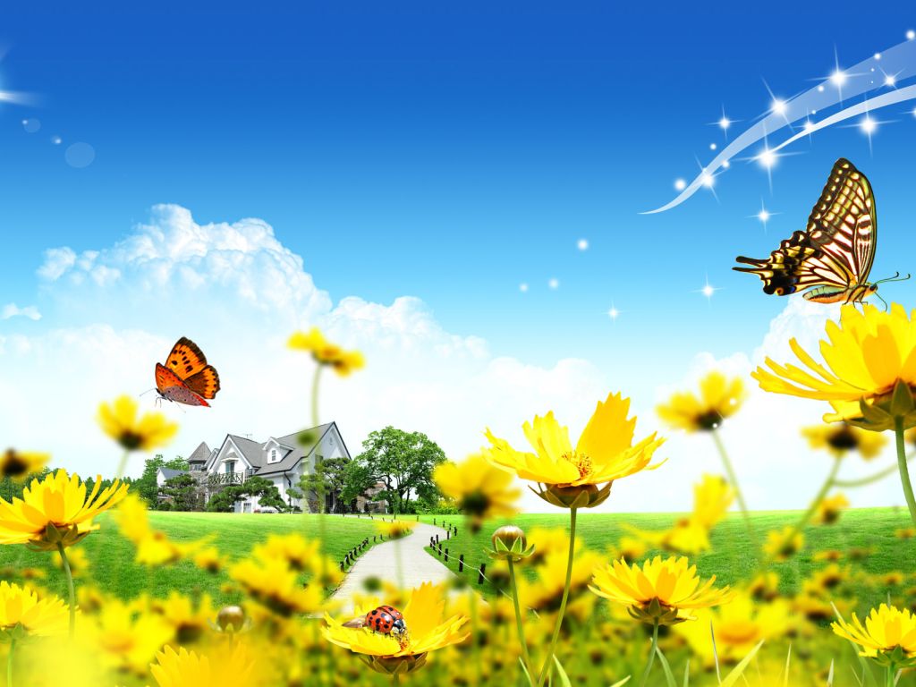 Butterflies on Yellow Flowers wallpaper