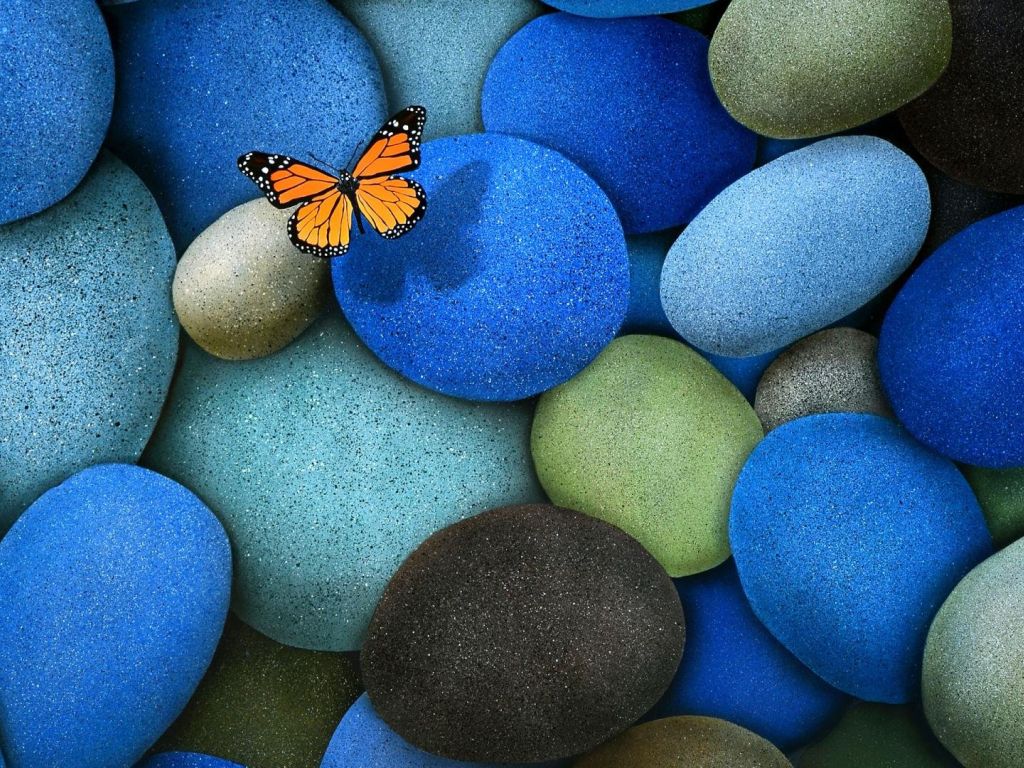Butterfly On Colourful Stones wallpaper