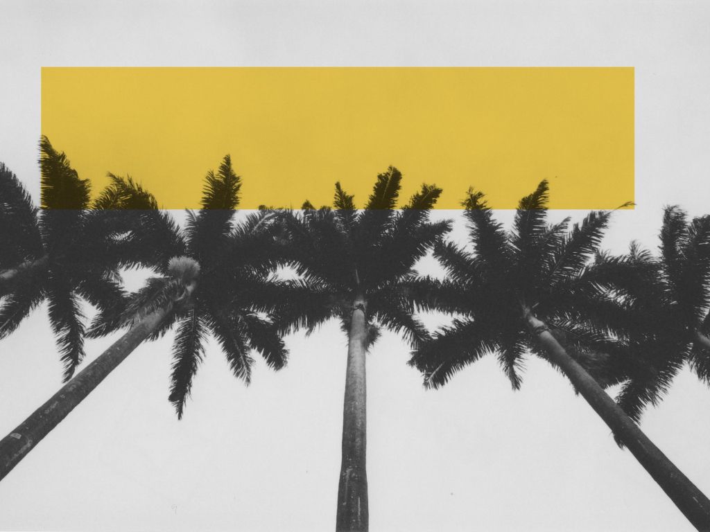 CALI BOY: Colorsplash Palm Trees wallpaper