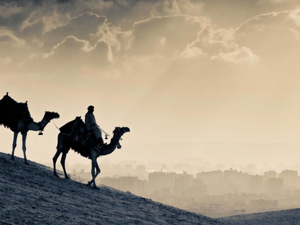 Camel Ride wallpaper