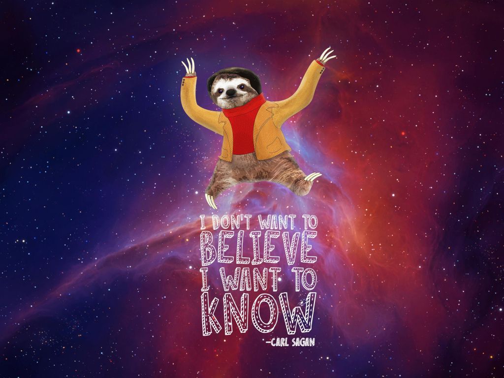 Carl Sagan Sloth wallpaper