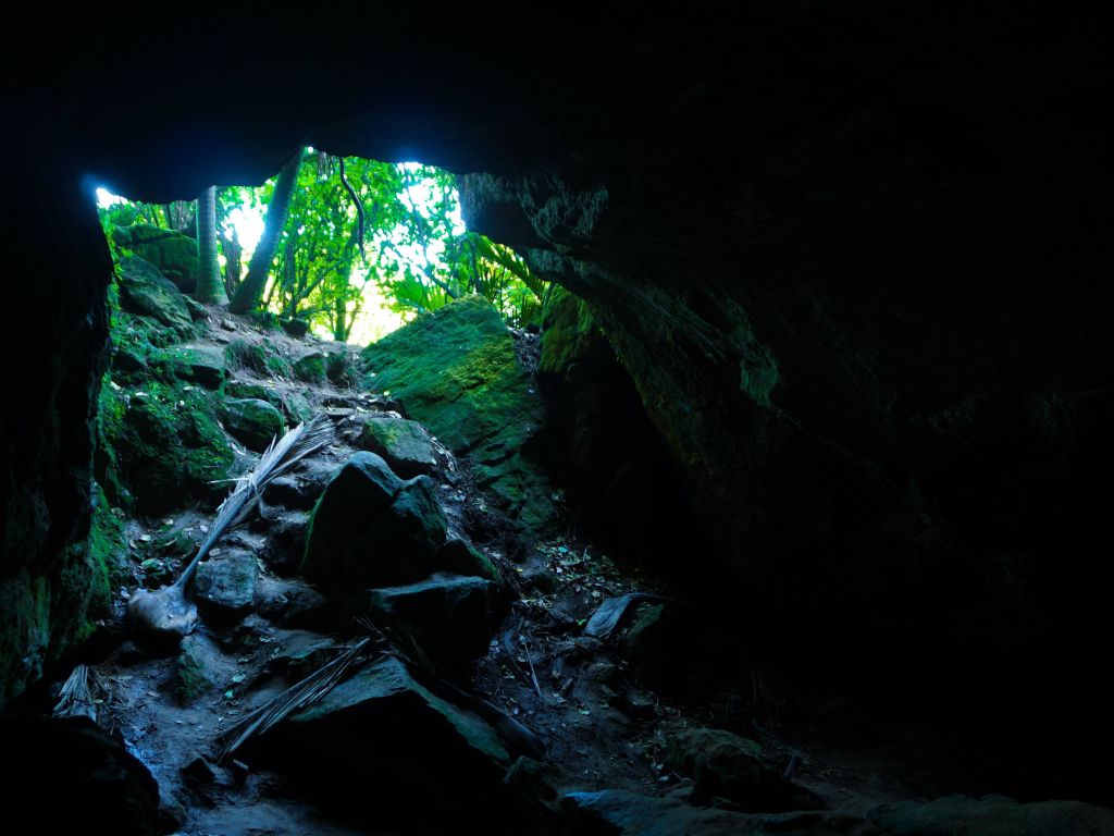 Cave to the Outdoors wallpaper