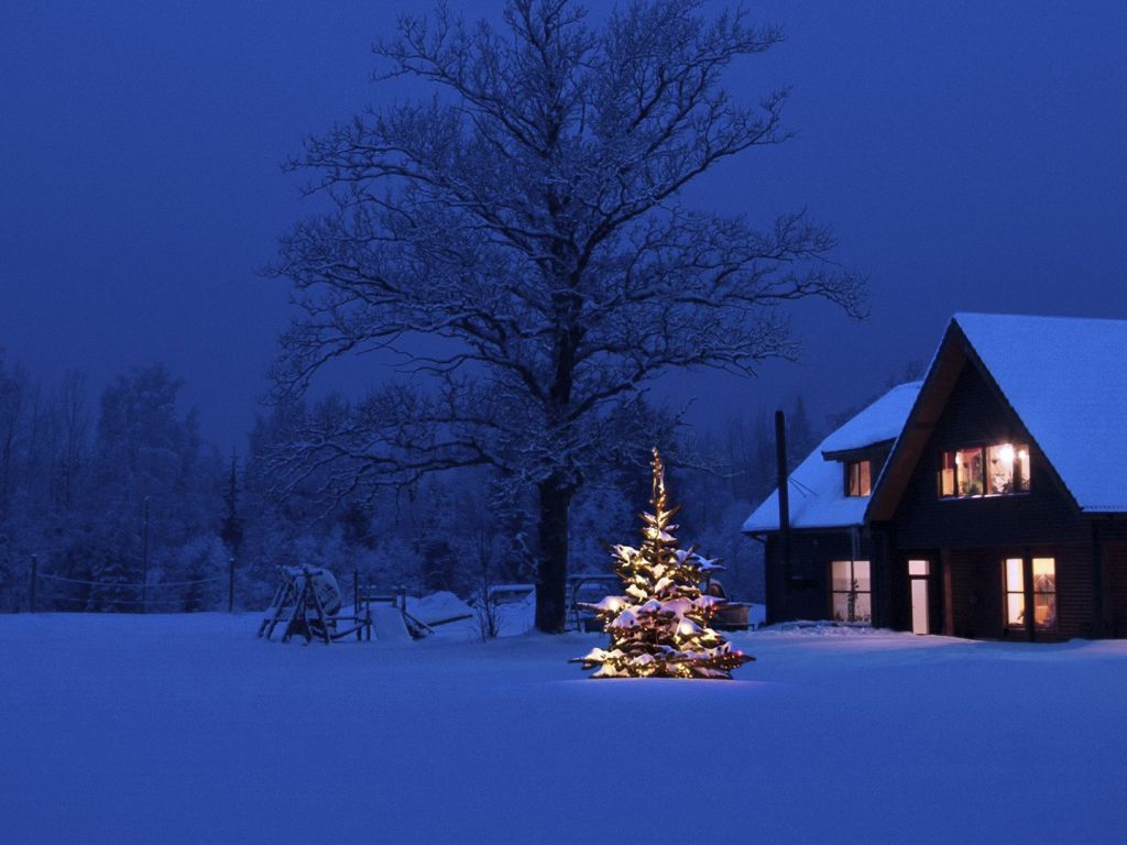 Christmas Tree and Cozy House With Snow Outside wallpaper