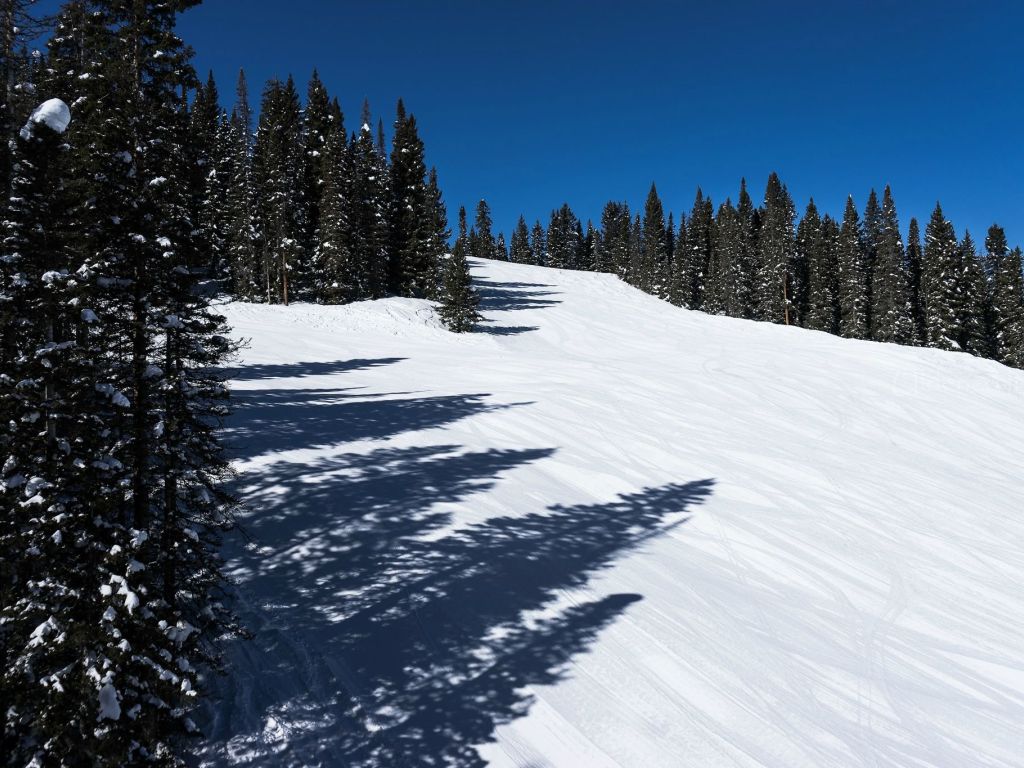 Clear Winter Day in Colorado wallpaper