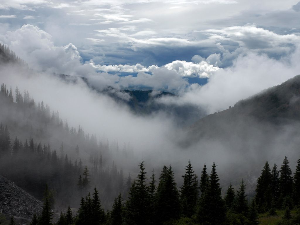 Clouds Fog Landscapes Mountains Pines Trees wallpaper