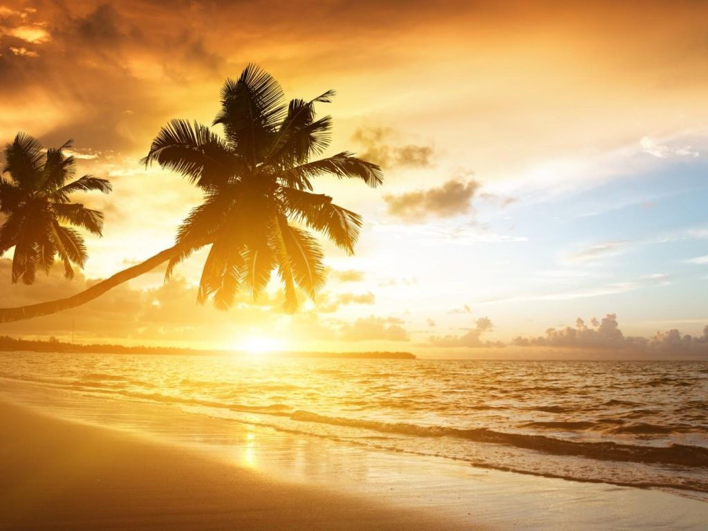 Coconut Beach Sunrise wallpaper