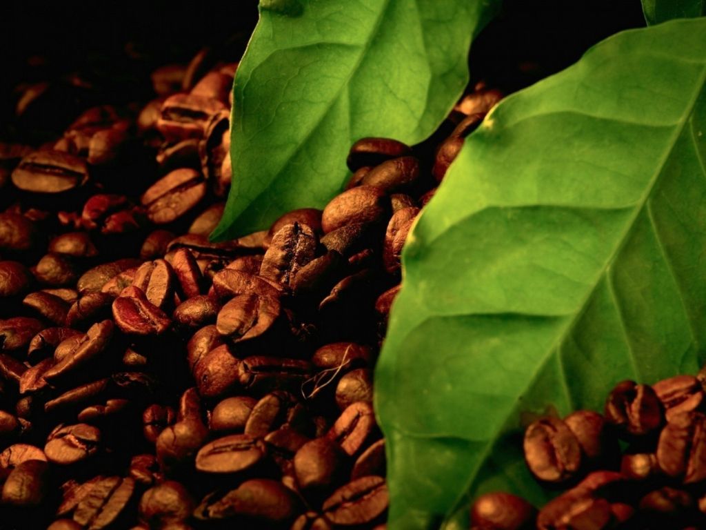 Coffee Beans wallpaper
