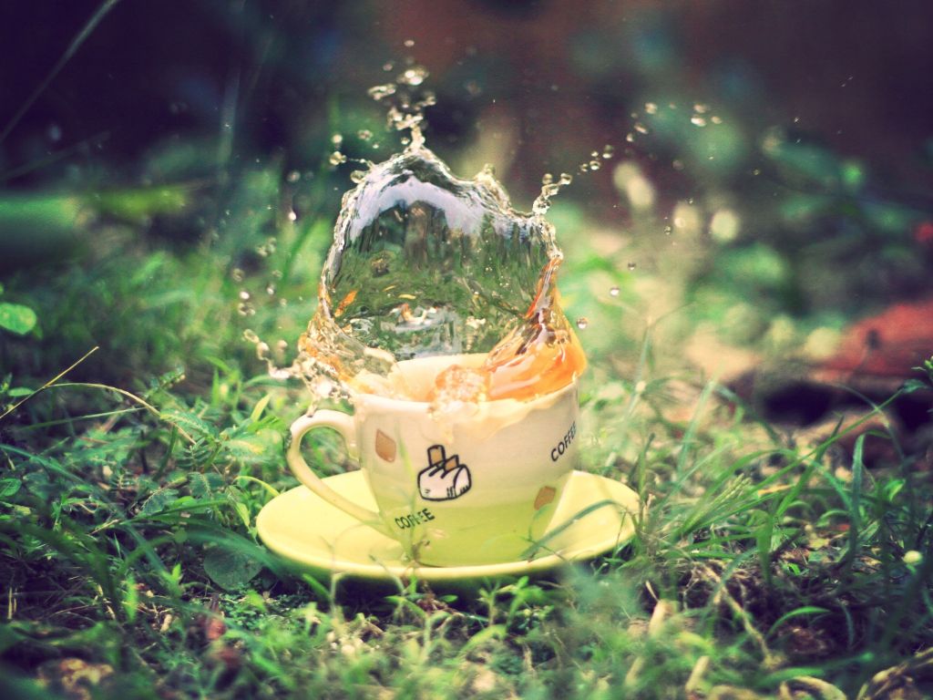 Coffee Cup With Water in the Forest wallpaper